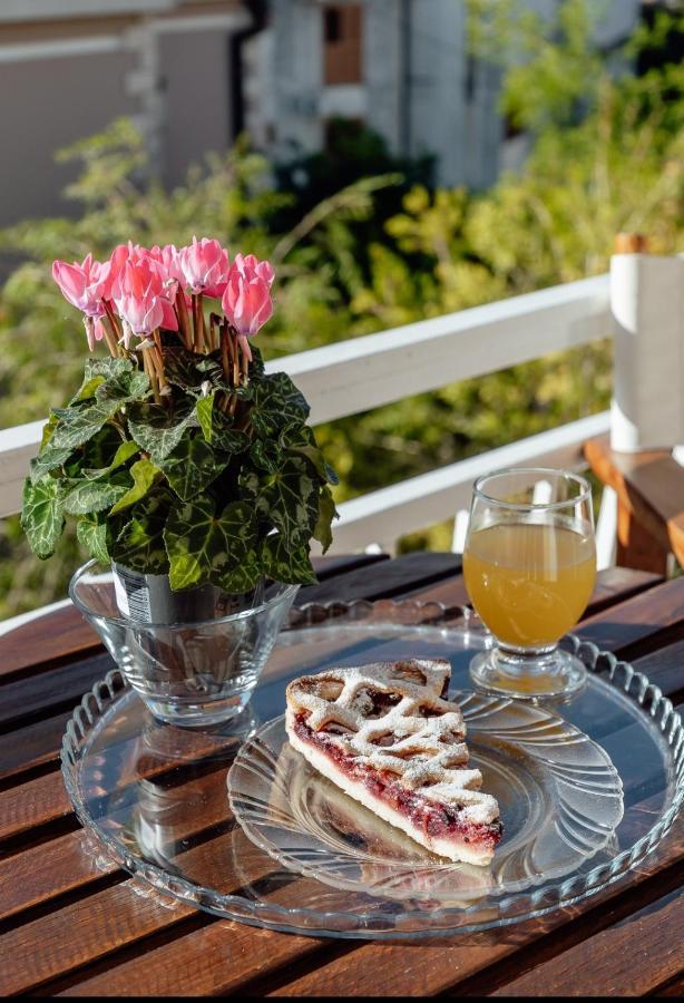 Apartmani Vico Χέρτσεγκ Νόβι Εξωτερικό φωτογραφία